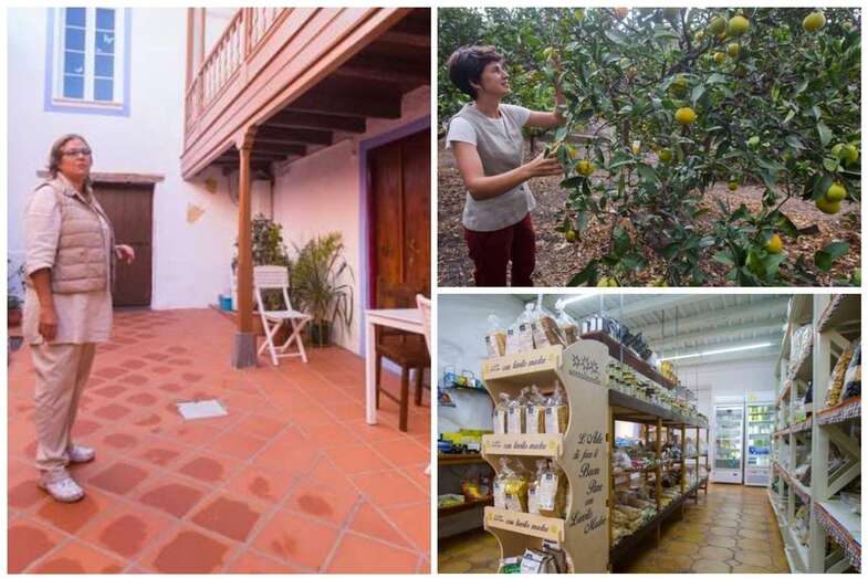 Arriba, Paula Bezares recolecta limones en la finca ecológica Las Raíces. A la derecha, Mirna Batista, en la casona perteneciente a La Tirijala donde se imparten talleres (Foto C7)